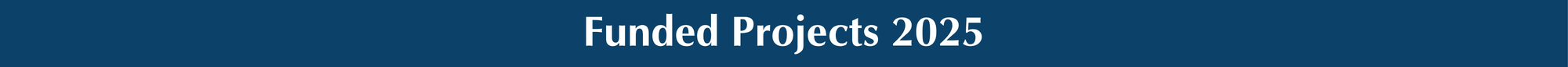 Funded Projects 2025